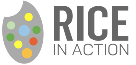 RICE IN ACTION - Identidad visual y creatividad. Logo con paleta de colores de diseño y tipografía moderna en gris. RICE IN ACTION - Identidad visual y creatividad. Logo con paleta de colores de diseño y tipografía moderna en gris.